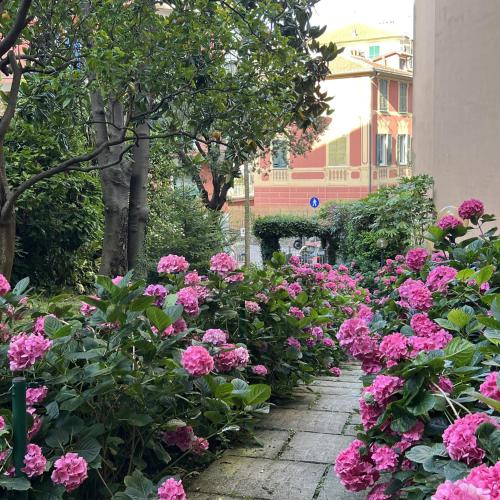 Aquarium Apt SML Parcheggio Gratis Terrazzo — 4-Star Luxury Hotel in Santa Margherita Ligure, Italy