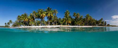 Fafarua Private Island — Unknown City — photo 2