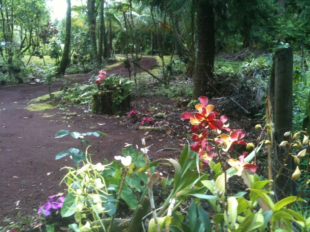 Enchanted Gardens - photo 26