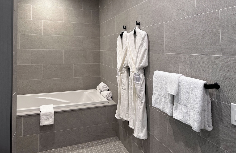 SpringHill Suites by Marriott Chicago Chinatown - photo 34