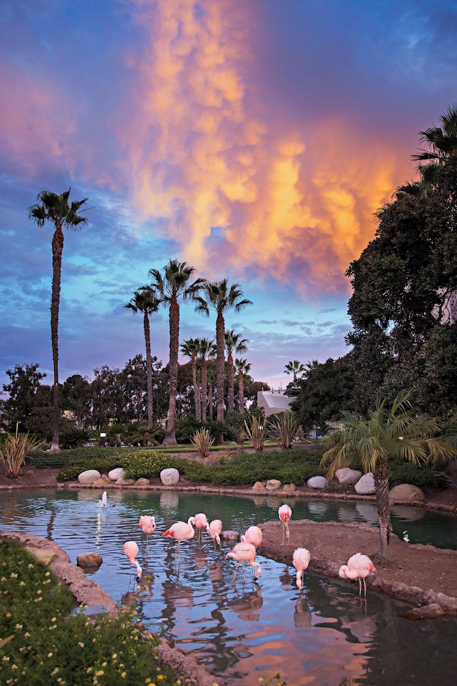 Coronado Island Marriott Resort & Spa - photo 63