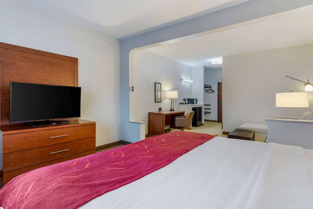 Comfort Suites La Porte Baytown - photo 16