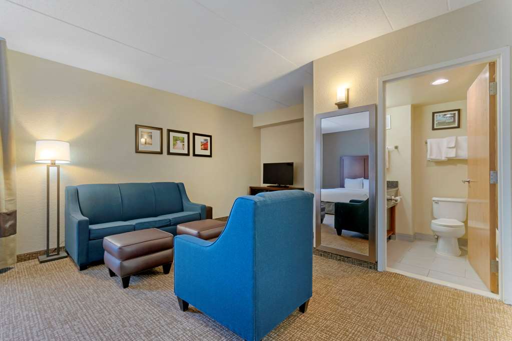 Comfort Inn Mechanicsburg Harrisburg South - photo 20