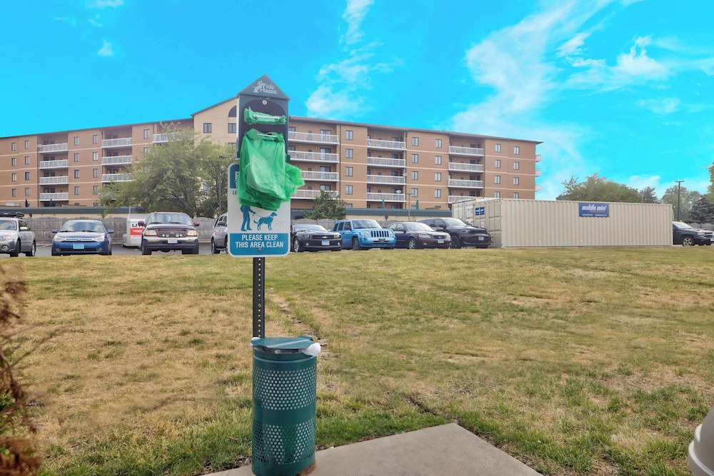 Motel 6 Villa Park IL Chicago West - photo 23