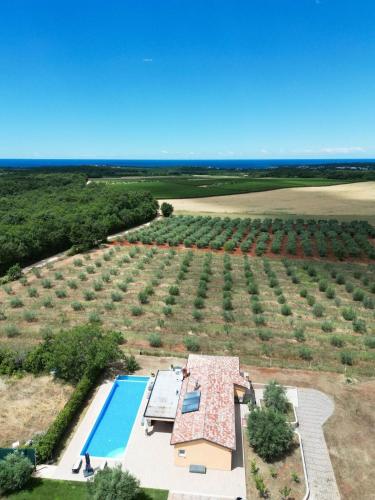 Villa Absolute privacy — 4-Star Luxury Hotel in Novigrad, Croatia