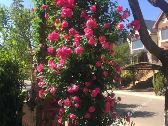 Chenqing Yimei Hotel in Songyang, People's Republic of China