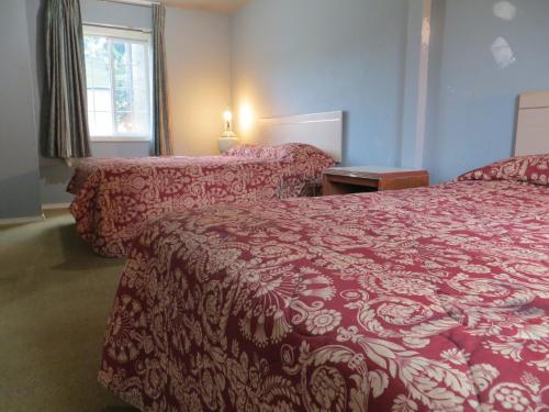 Madison Suites Motel - photo 17