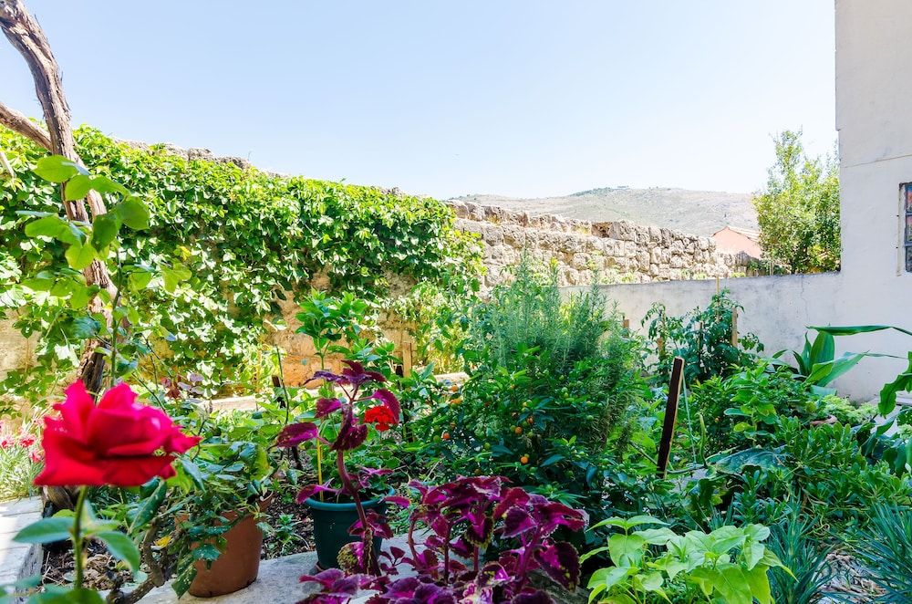 Apartment Lapad Gardin