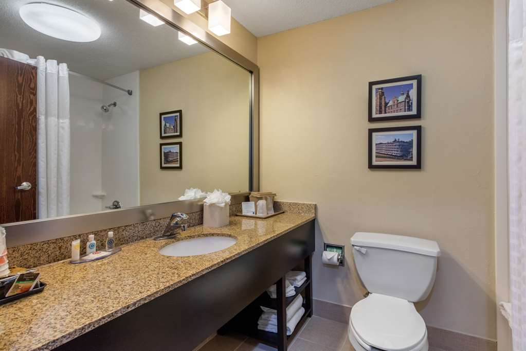 Comfort Inn Horn Lake Southhaven - photo 19