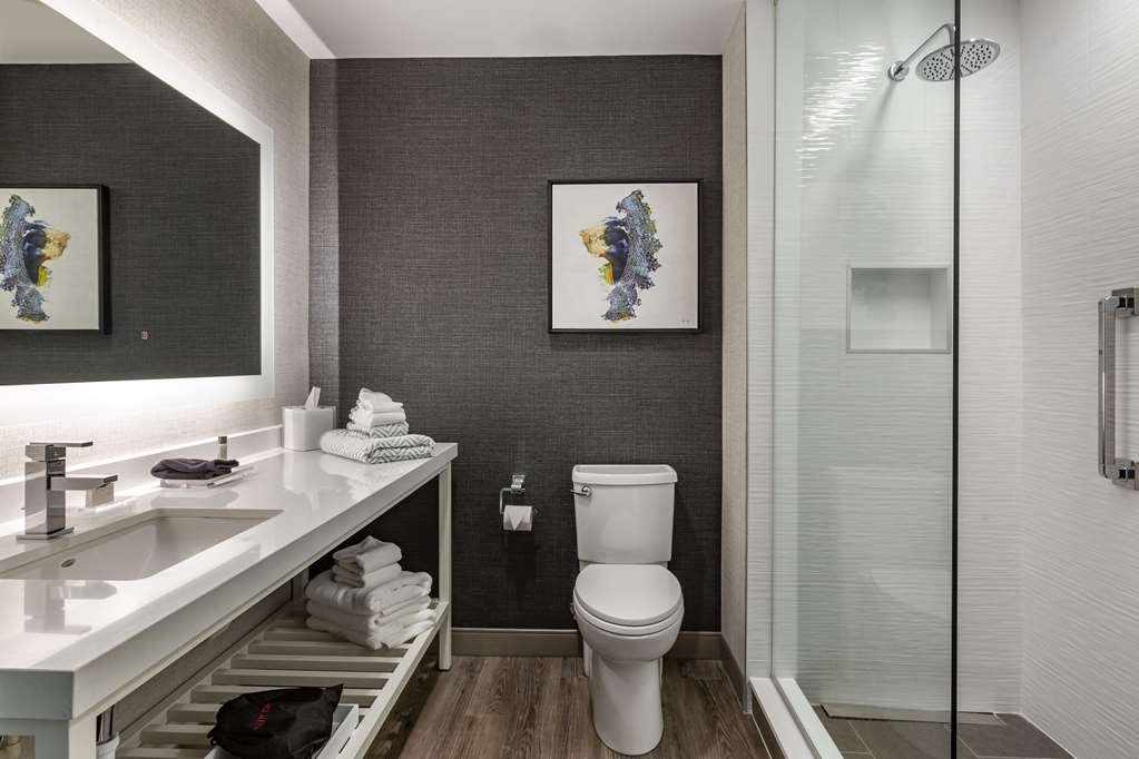 Cambria Hotel Manchester South Windsor - photo 30