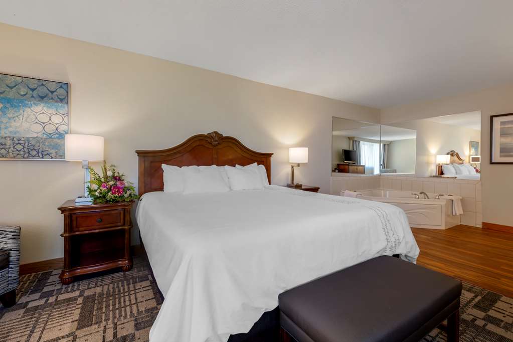 Best Western Plus Dubuque Hotel & Conference Center - photo 24