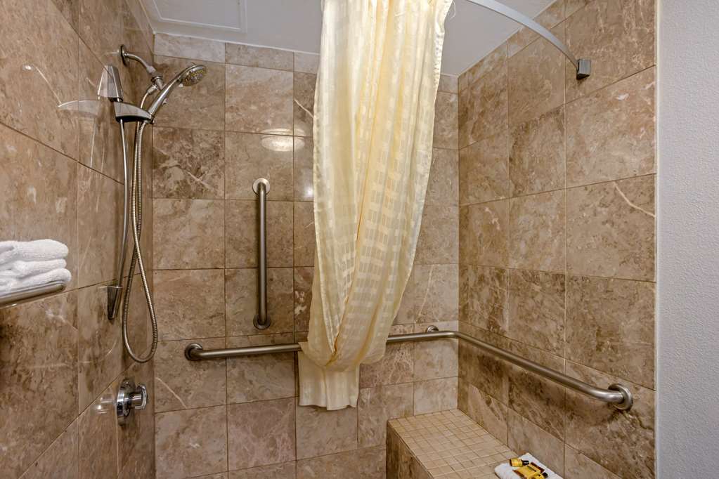 Best Western Plus Reading Inn & Suites - photo 45
