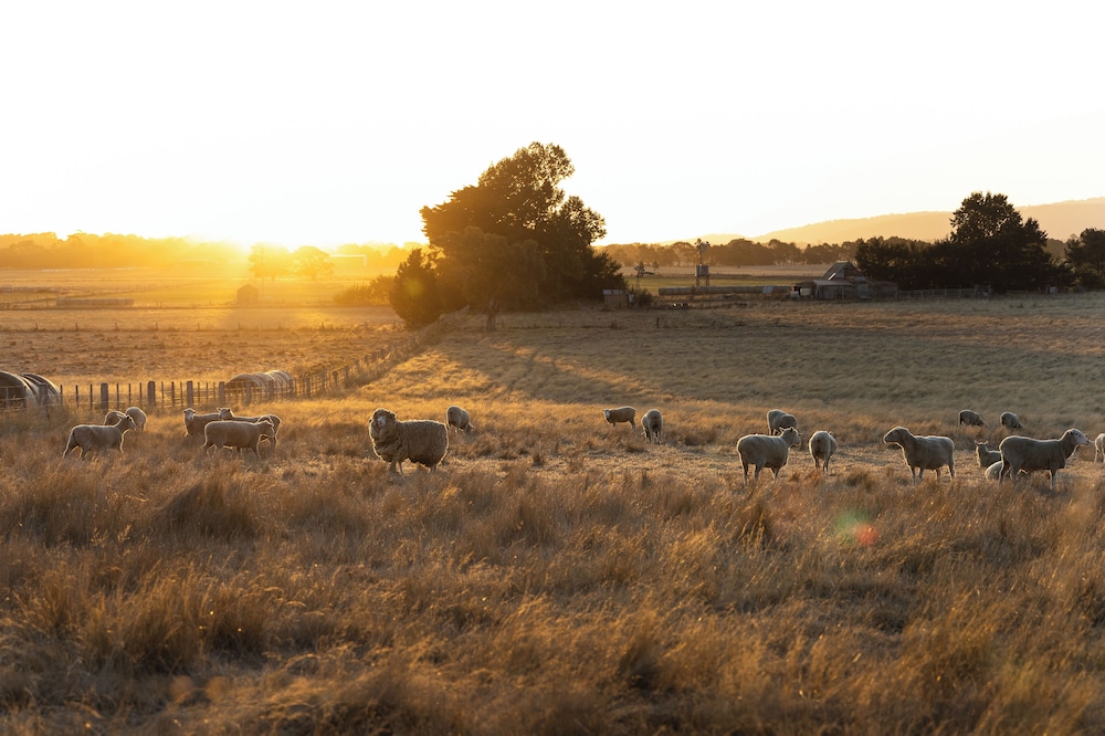Cleveland Estate — 4-Star Luxury Hotel in Lancefield, Australia