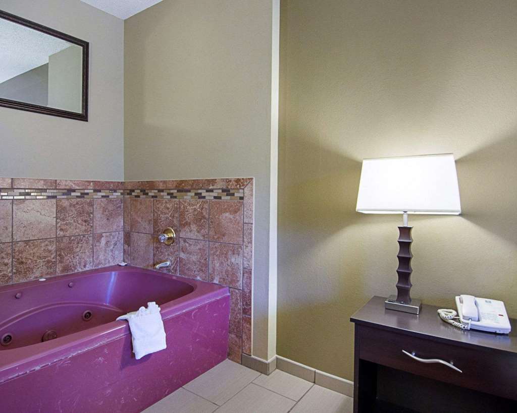 Quality Inn & Suites Little Rock West - photo 19