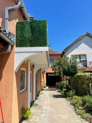 Mimoza Jd in Ingija, Serbia