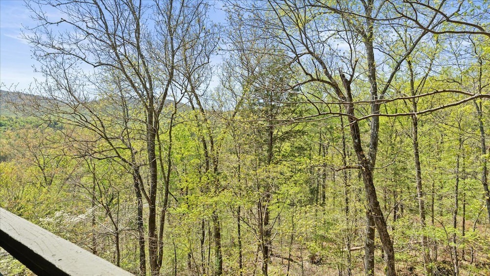 Laurel Valley Mountain Retreat - photo 139