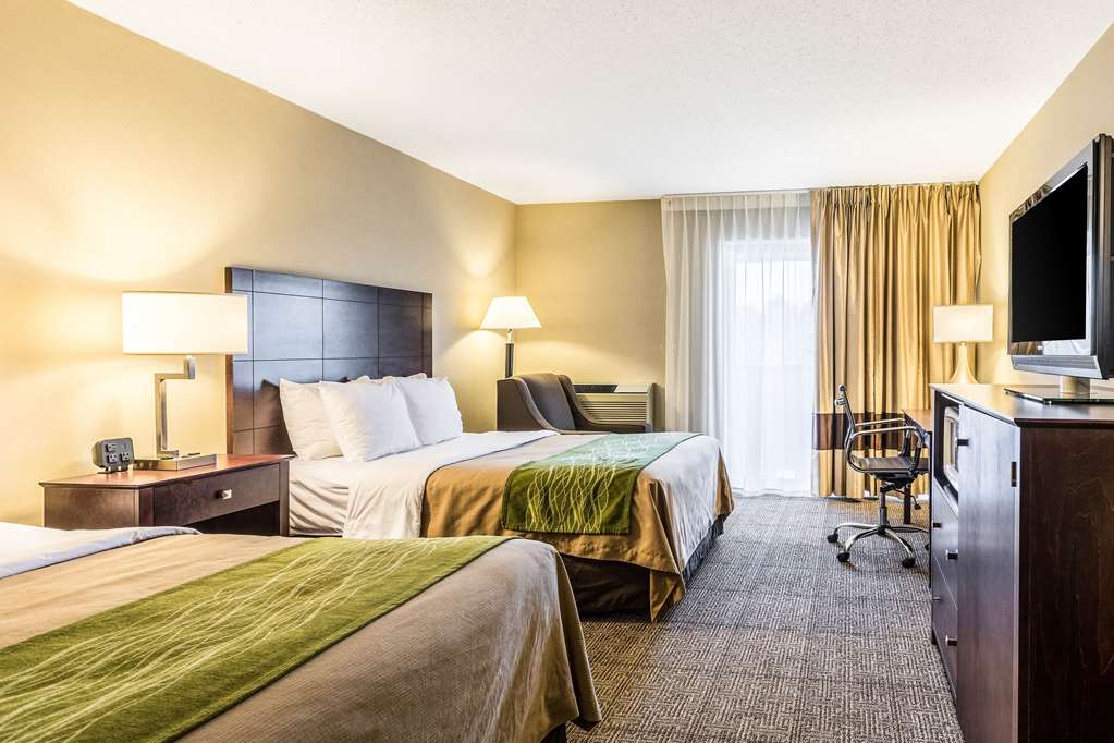 Comfort Inn Lansing West - photo 15
