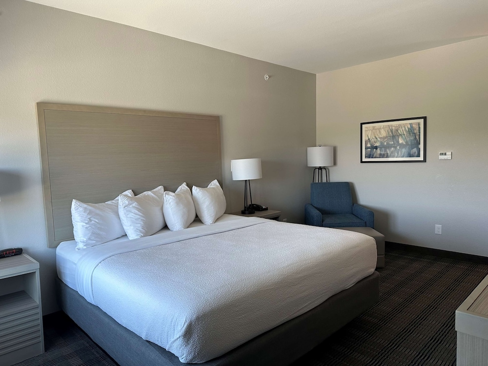 Best Western Plus Chandler - photo 7