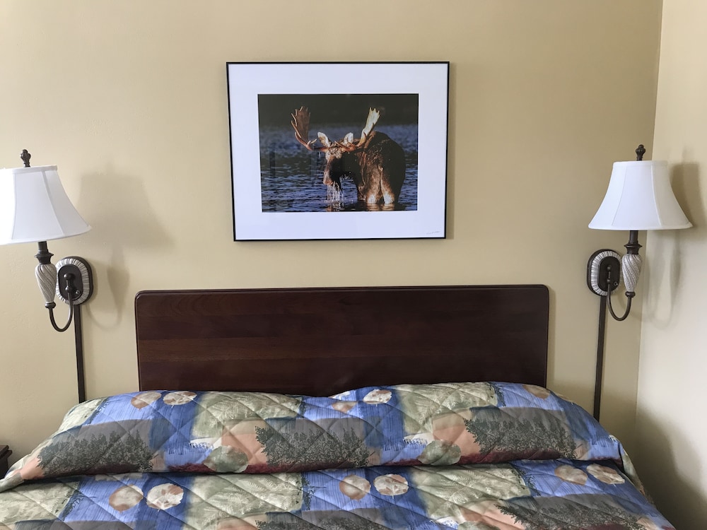 Baxter Park Inn - photo 3