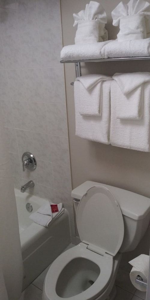 SureStay Plus Hotel by Best Western Clearwater Central - photo 34