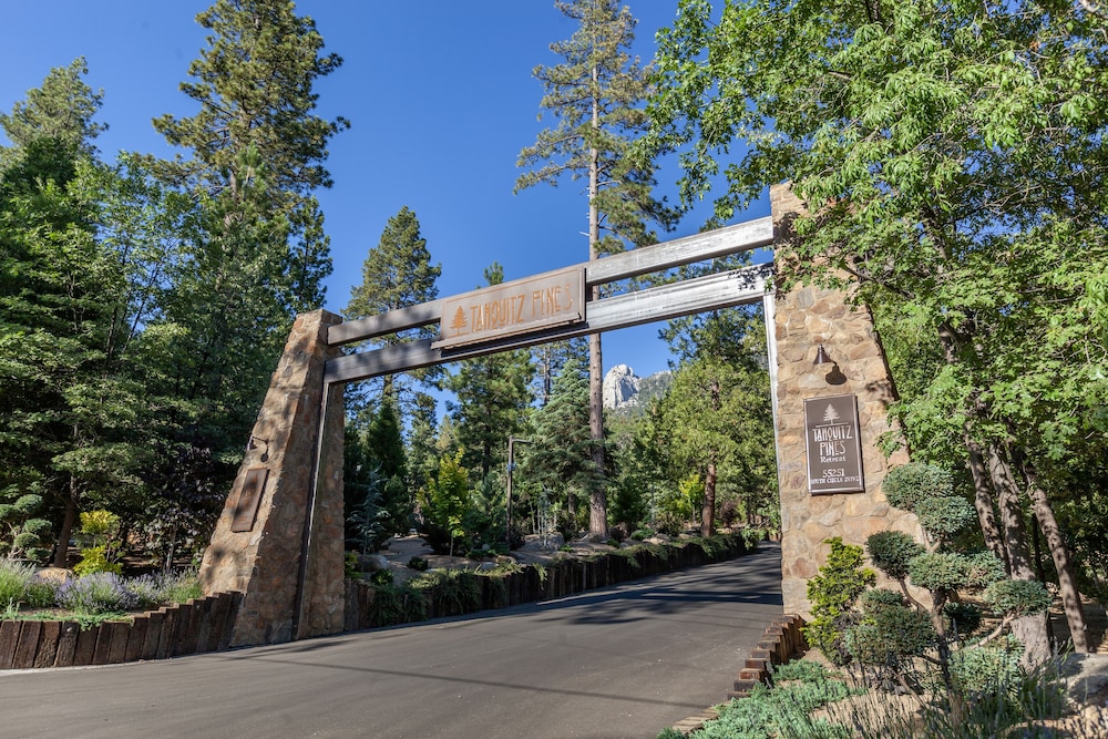 Tahquitz Pines Retreat - photo 102