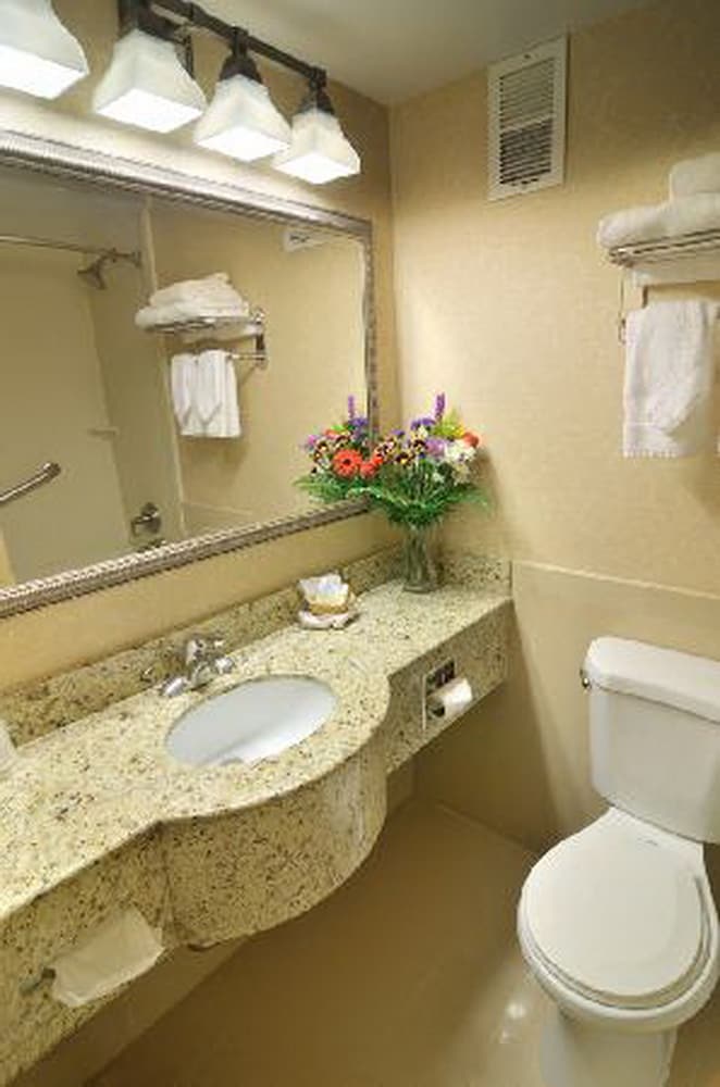 Airway Inn at LaGuardia - photo 12