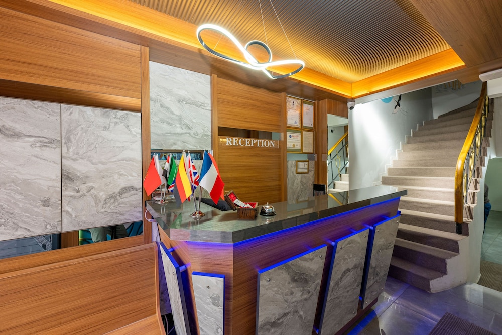Mayza Otel — Istanbul — photo 2