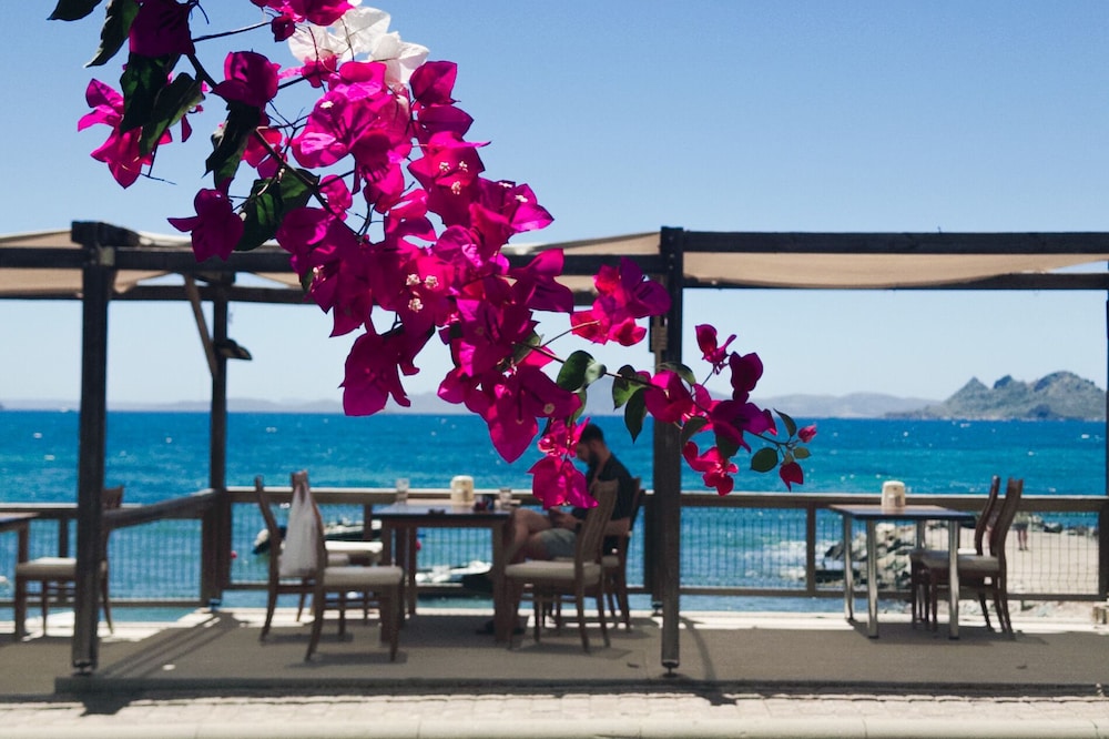 One More Day Hotel - last minute hotel in Bodrum