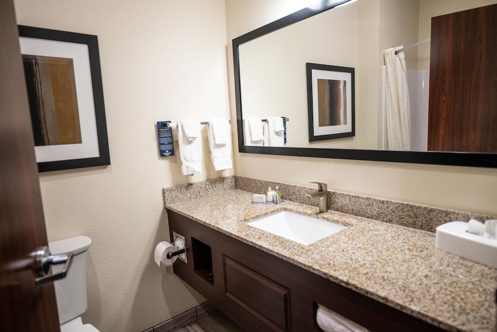 Cobblestone Hotel & Suites Lamar - photo 56