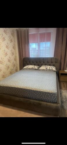 Apartament Elenys — Eforie Sud — photo 5