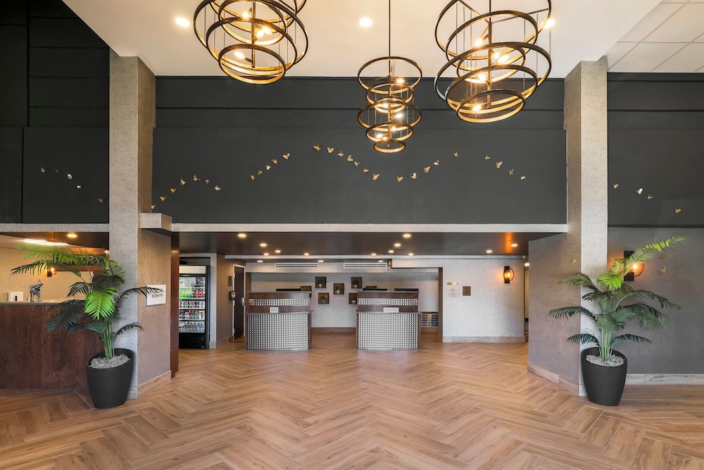 Four Points by Sheraton Amarillo Central - photo 4