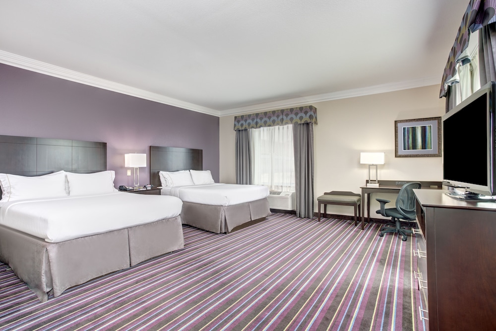 Holiday Inn Express Hotel & Suites Raceland Highway 90 by IHG - photo 16