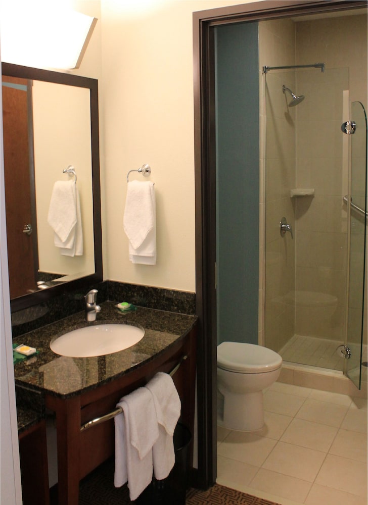 Hyatt Place Dallas Garland Richardson - photo 7