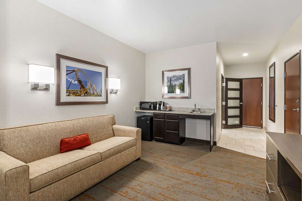 Comfort Inn & Suites Brighton Denver NE Medical Center - photo 32