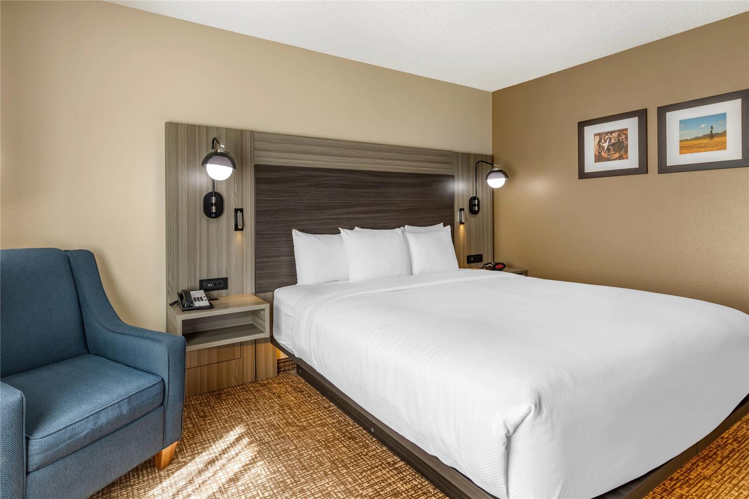 Comfort Inn & Suites North Dallas Addison - photo 14