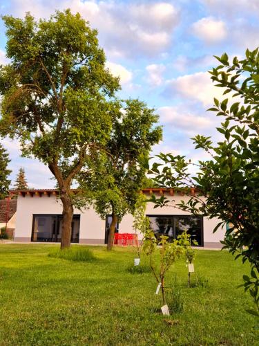 Oderbruch26 mit Sauna Option - carbon neutral hotel in Letschin