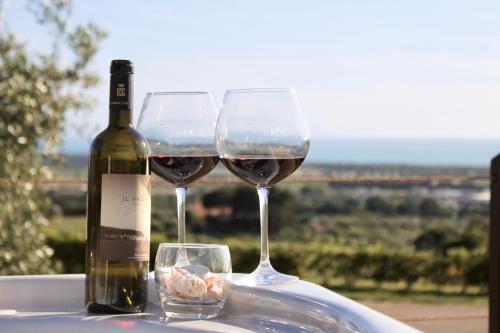Agriturismo Suite del Conte — 4-Star Luxury Hotel in San Vincenzo, Italy