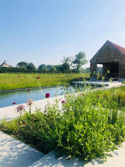 Schuurloft Hof ten Bogaerde met biozwembad veldzicht & uilennest in Jabbeke, Belgium