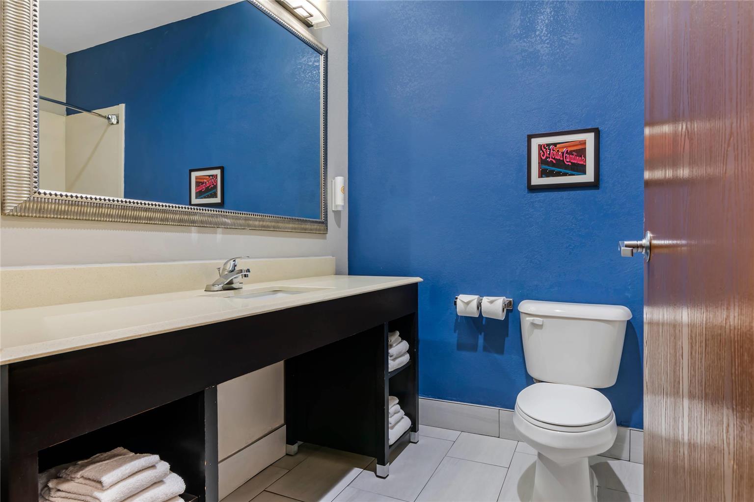 Comfort Suites St Charles St Louis - photo 19