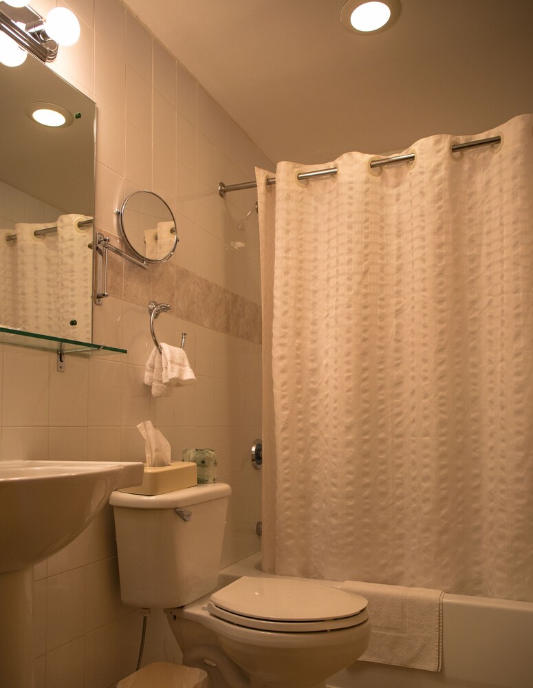 Econo Lodge Times Square - photo 41