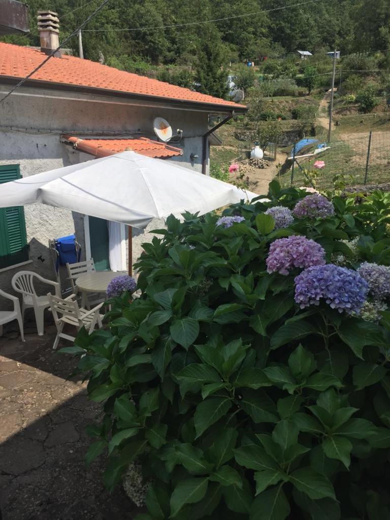 Ortensia — hotel in Pignone