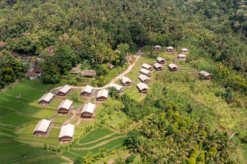 Kaura Bali