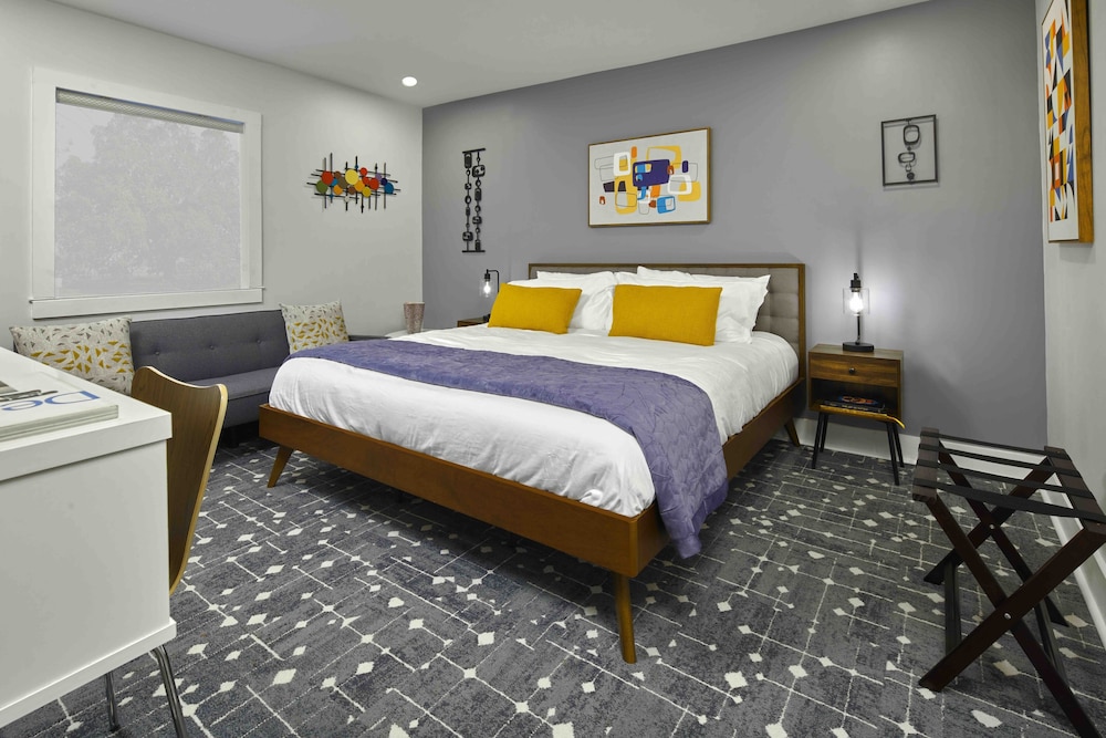 New South Motor Inn - photo 23