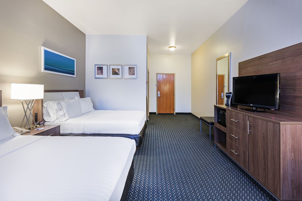 Holiday Inn Express Hotel & Suites Pharr by IHG - photo 6