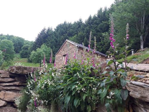 Petite Bergerie En Pierres Tout Confort — hotel in Salles-Curan
