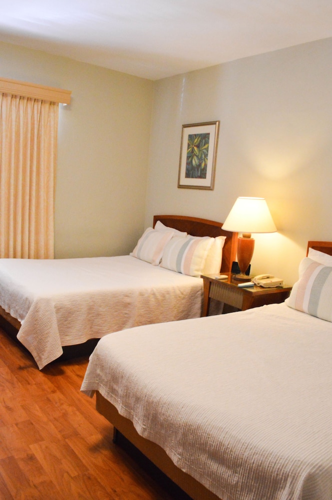 Viscay Hotel - photo 5