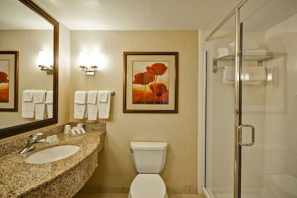 Hilton Garden Inn Tampa Riverview Brandon - photo 21