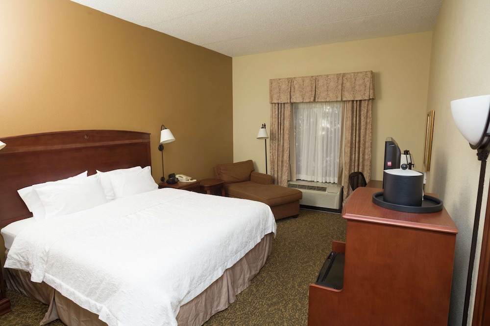 Hampton Inn Oneonta - photo 10