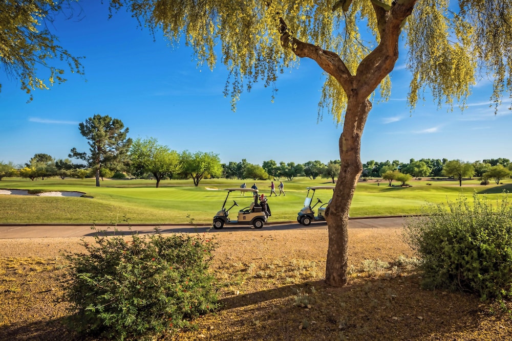 Scottsdale Marriott at McDowell Mountains - photo 30