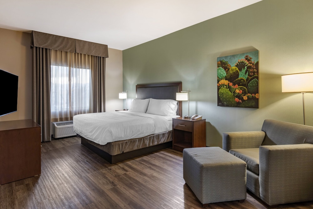 Holiday Inn Express & Suites Indio Coachella Valley by IHG - photo 17